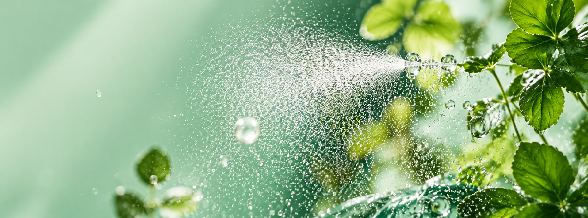 Fine refreshing water mist spraying across a soft green background with fresh leaves and suspended droplets.